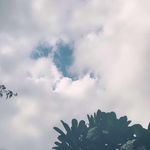 网址你知道我的意思的免费
